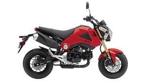 2014 Honda Grom: FIRST LOOK