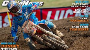 Double Up Time For The Bingley Bullet