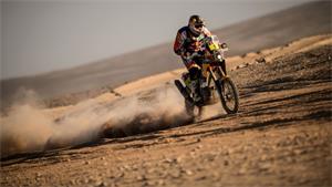 Dakar Rally: Stage To Cyril Despres, Overall To Marc Coma