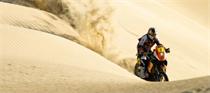 Despres Wins Dakar Rally
