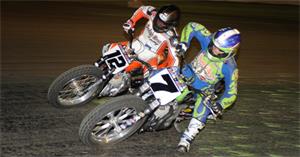 Halbert Triumphant in Return