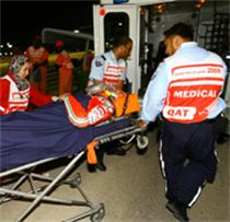 Hayden Treated and Released