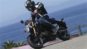 2014 Honda Grom: FIRST RIDE