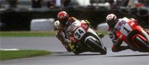 Rainey, Schwantz… Schwantz, Rainey