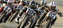 Springfield Flat Track Coverage