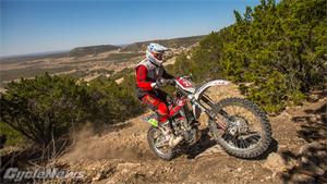 Interview: Andrew Delong