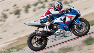 Roberts Pure Perfection