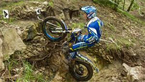 Webb All The Way At Last Dog Standing