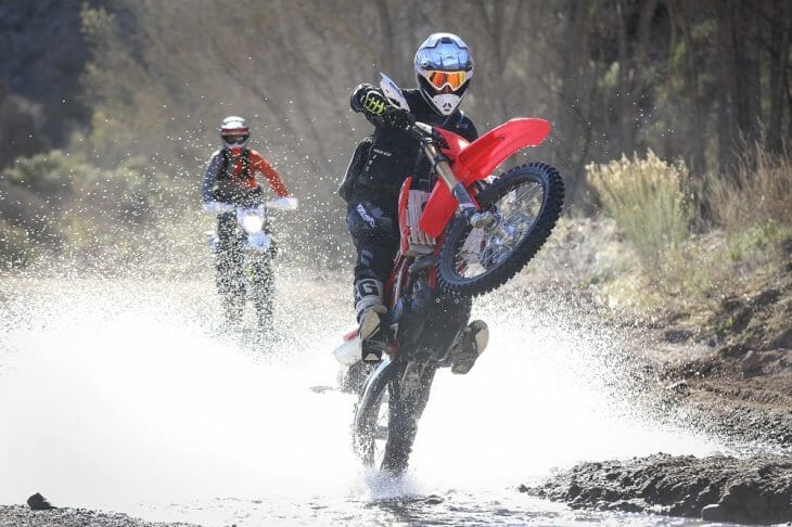 Husqvarna 501S vs. Beta 500 RS