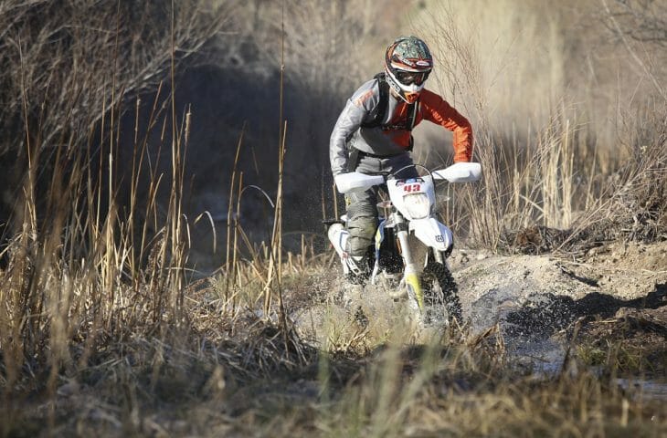 Husqvarna 501S vs. Beta 500 RS