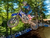 Alex Martin