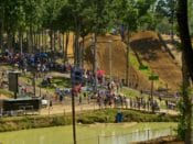 Budds Creek