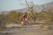 2017 SCORE San Felipe 250 Results