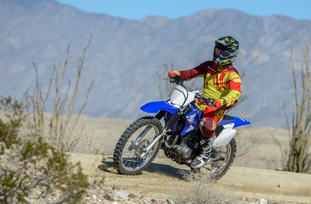 2017 Yamaha TTR230