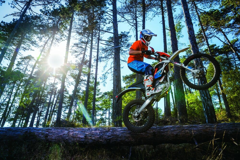 Best freeride bikes best sale 2018