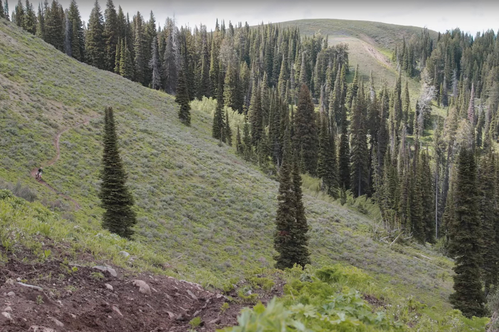 All the proceeds from the event are donated to trail advocacy efforts.