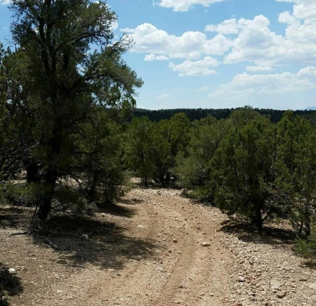 National Hare and Hound