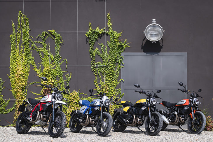 Ducati Scramblers 1