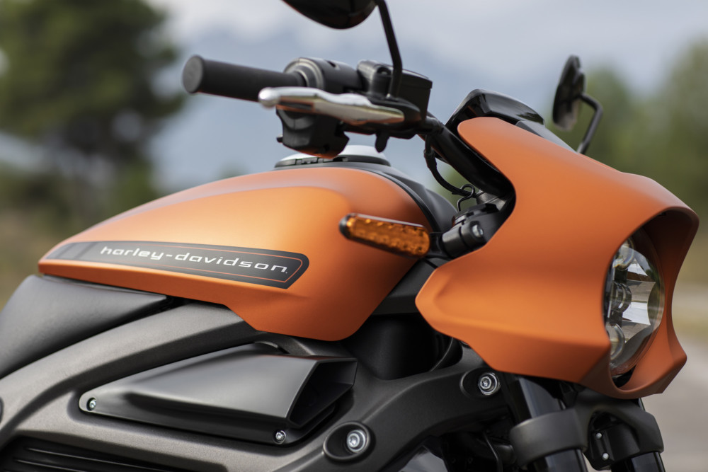 2019 Harley  Davidson  LiveWire First Look