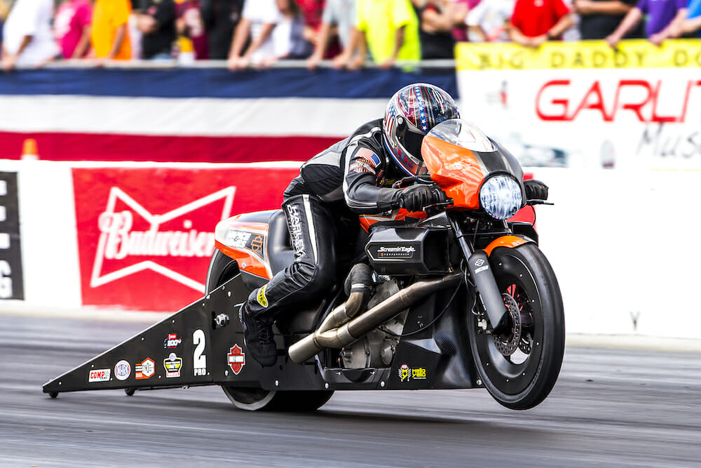 NHRA Pro Stock Motorcycle Gainesville Results  2019  