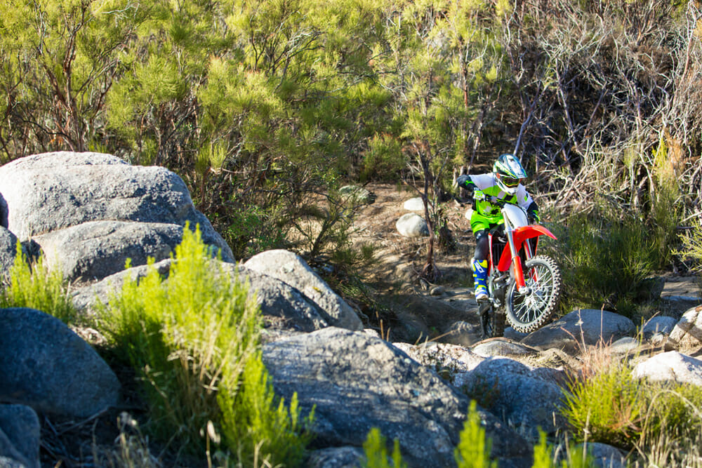 The suspension on the 2019 Honda CRF250RX is the same as the R model but designed to soak up the smaller bumps with more cushion.
