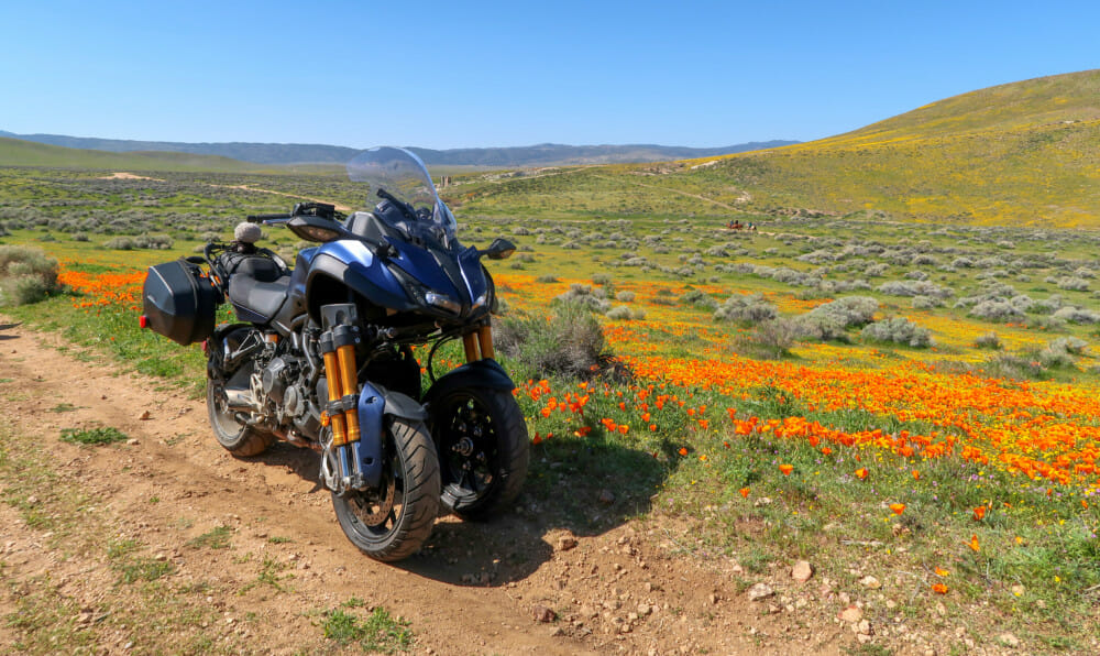 The 2019 Yamaha Niken GT is a poppy field.