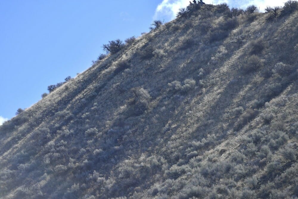 Hagerman West Hare Scramble