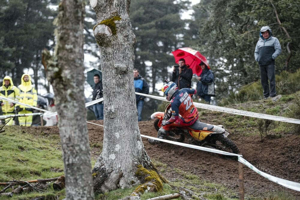 Jonny Walker - Red Bull KTM Factory Racing - Trèfle Lozérien AMV 2019