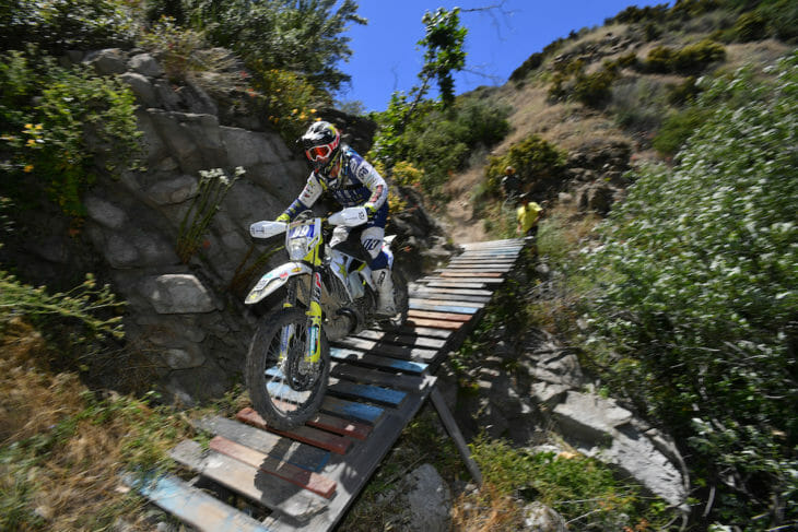 Last Dog Standing Results 2019