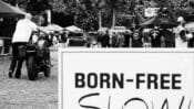 Born Free 11 / Tucker Films