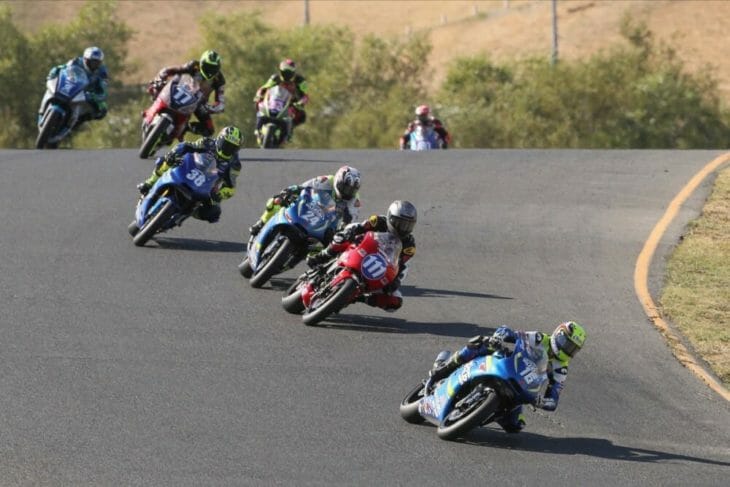 Sonoma-Dumas-Sun-2019