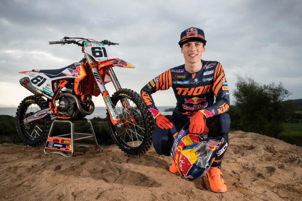 red bull cycle