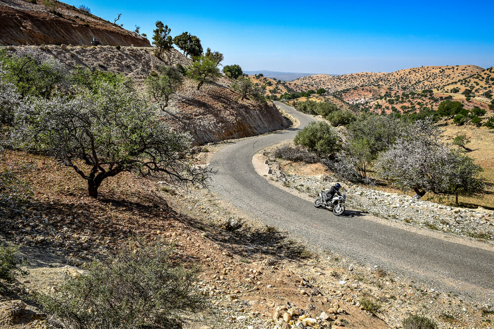 The 2020 Triumph Tiger 900 Rally Pro is ready to go face to face with any ADV bike on the market.