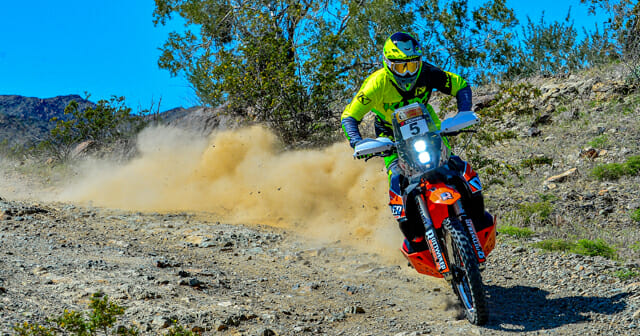 Rottweiler ktm sales 790 adventure