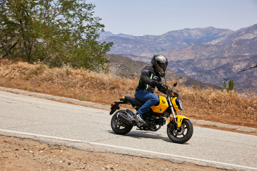 Honda grom adventure bike clearance