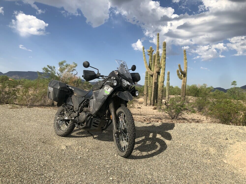Kawasaki klr sales 650 custom