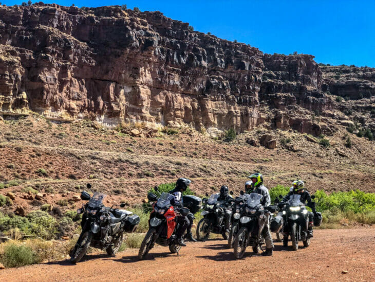 Observation Check Column