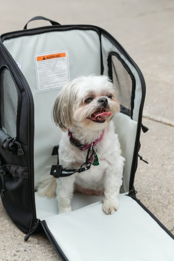 Pet Palace Ruff Pack 1