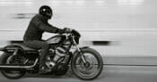 2022 Harley-Davidson Nightster