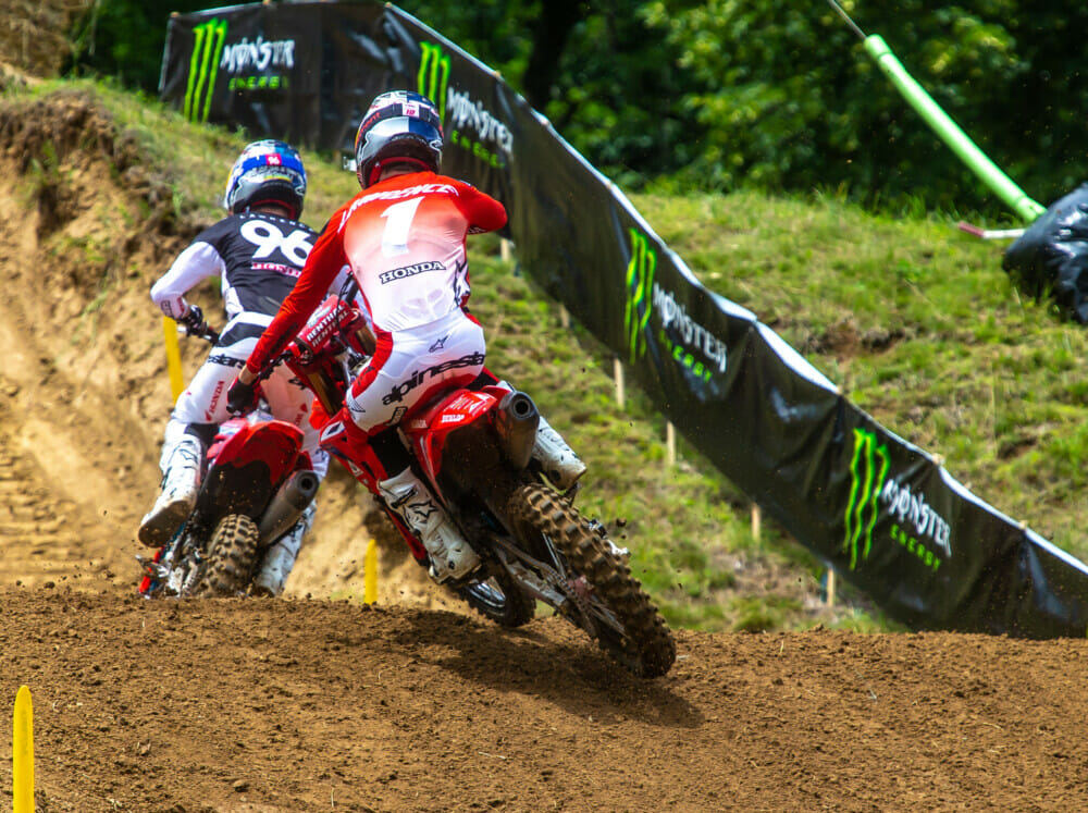 2022-millville-national-brown-dog-photo-250-lawrence