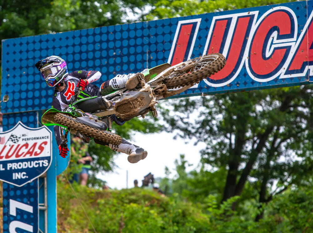 2022-millville-national-brown-dog-photo-difrancesco