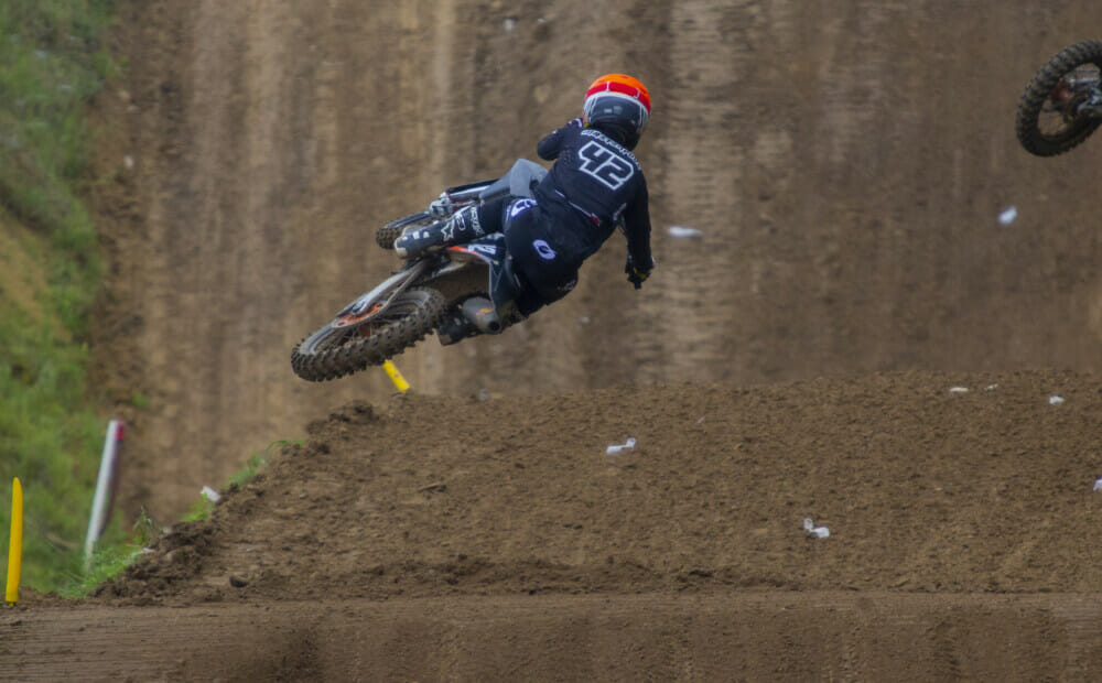 2022-millville-national-brown-dog-photo-masterpool