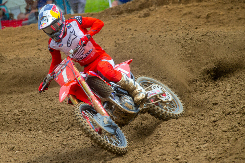 2022-millville-national-brown-dog-photo-jett2