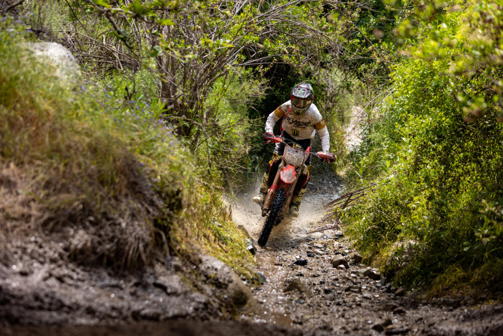 2023-glen-helen-worcs-walker