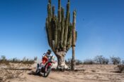 Coyote Trail Adventures "Mason Klein Ride" in Mojave Desert