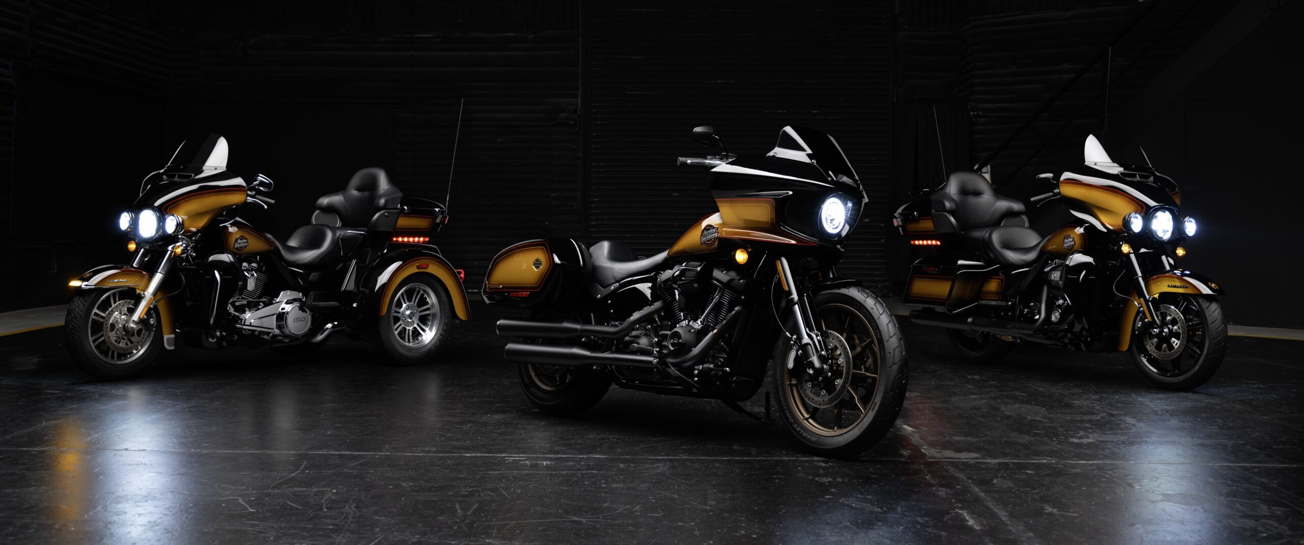 2024 Harley-Davidson Tobacco Fade Enthusiast Ultra Limited