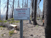 Burn area of U.S. forest