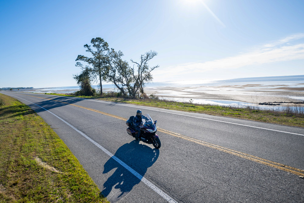 2025 Honda Gold Wing 50th Anniversary action