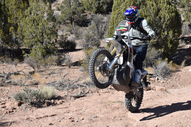 2025 Kove 450 Rally wheelie
