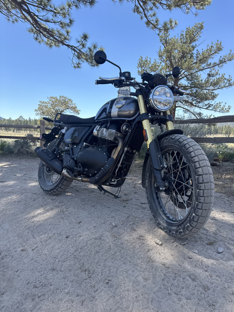 2025 Royal Enfield Bear 650 front view